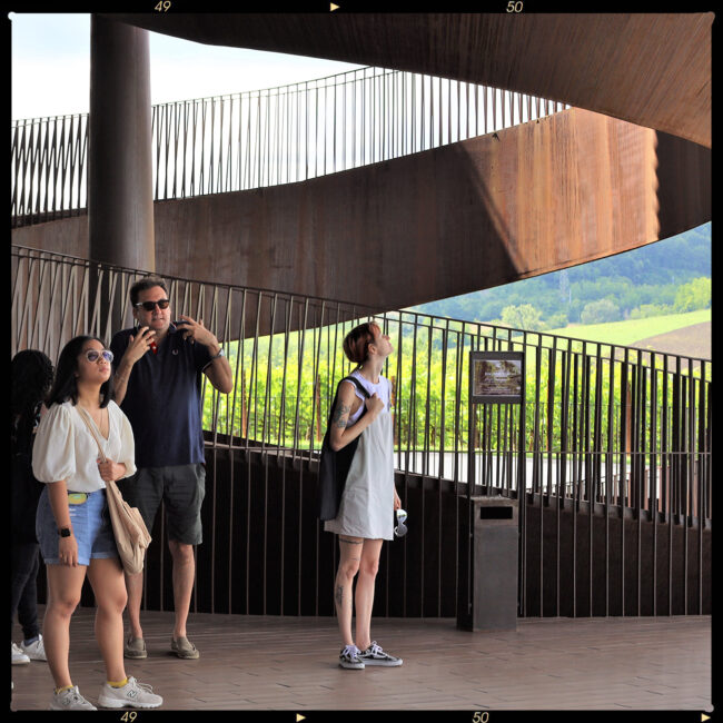 summer course_ florence
